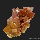 Wulfenite (old USA classic) - image 4