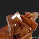 Wulfenite (old USA classic) - image 2