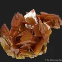 Wulfenite (old USA classic) - image 1