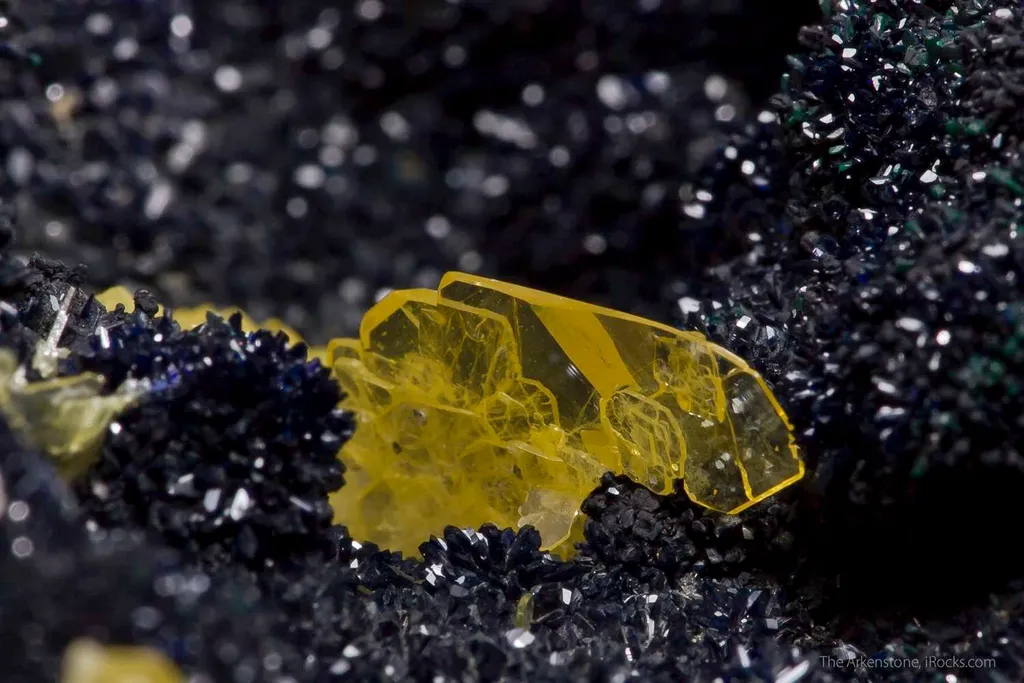 Wulfenite on Azurite - image 4