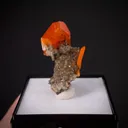 Wulfenite on Calcite - image 2