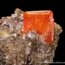 Wulfenite on Calcite (2003) - image 5