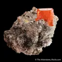 Wulfenite on Calcite (2003) - image 1