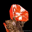 Wulfenite on Calcite - image 1