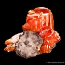 Wulfenite on Calcite - image 3