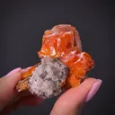 Wulfenite on Calcite - image 1