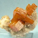 Wulfenite on Calcite - image 3
