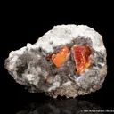 Wulfenite on Calcite - image 6