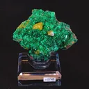 specimen video