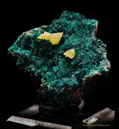 Wulfenite on Dioptase image