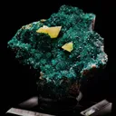 Wulfenite on Dioptase - image 1