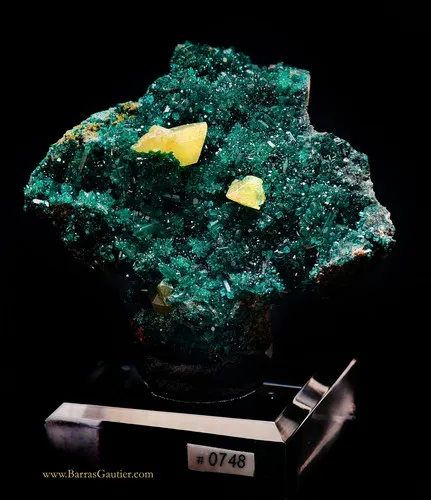 Wulfenite on Dioptase - image 2