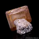 Wulfenite on Dolomite - image 3