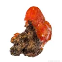 Wulfenite on Limonite - image 4