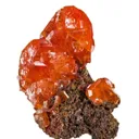 Wulfenite on Limonite - image 1