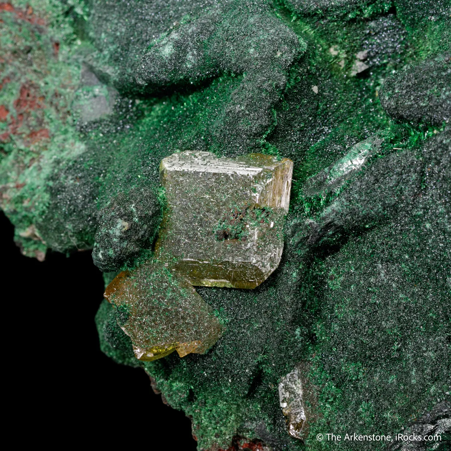 Wulfenite on Malachite ps. after Tennantite - image 3