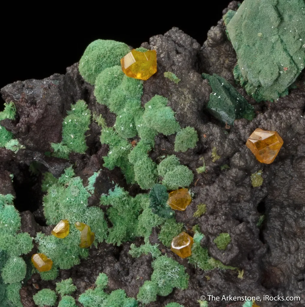Wulfenite on Malachite ps. Azurite - image 2