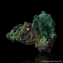 Wulfenite on Malachite ps. Azurite - image 4
