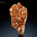 Wulfenite on Matrix from Mexico - image 2
