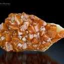 Wulfenite on Matrix from Mexico - image 1