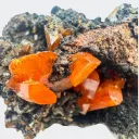 Wulfenite on Matrix from USA, Arizona, Red Cloud Mine - image 2
