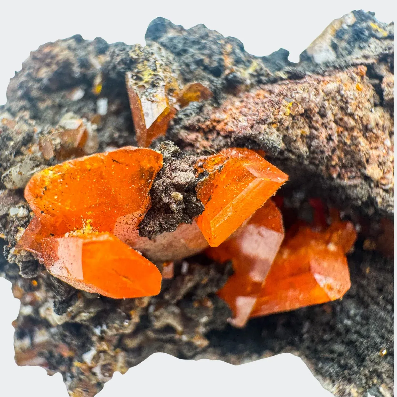 Wulfenite on Matrix from USA, Arizona, Red Cloud Mine - image 2