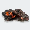 Wulfenite on Matrix from USA, Arizona, Red Cloud Mine - image 1