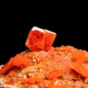Wulfenite on Mimetite - image 6