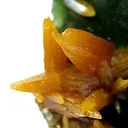 Wulfenite on Mimetite - image 2