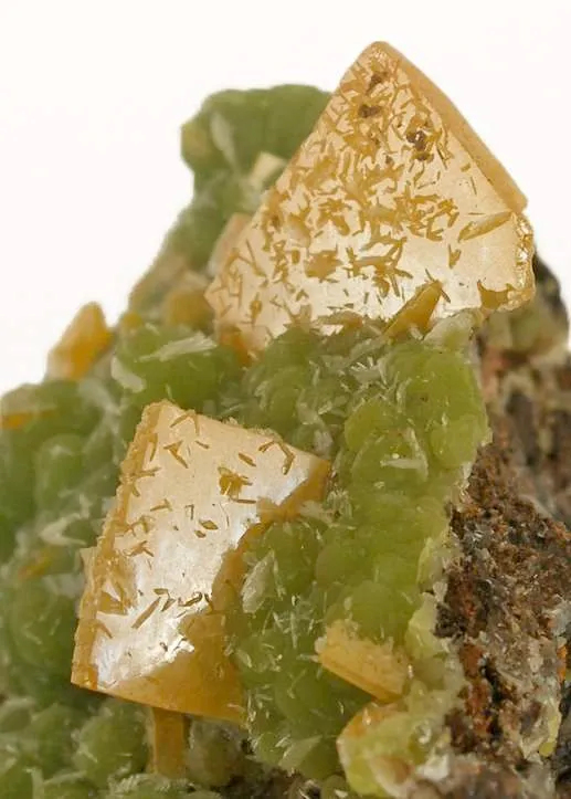 Wulfenite on Mimetite - image 4