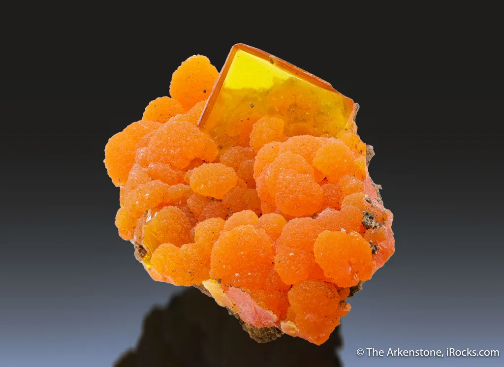 Wulfenite on Mimetite - image 2