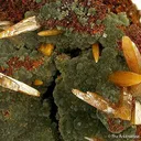 Wulfenite on Mimetite - image 2