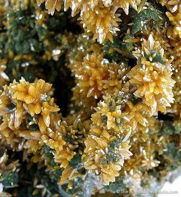 Wulfenite on Mimetite - image 3