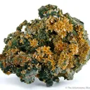 Wulfenite on Mimetite - image 1