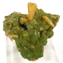 Wulfenite on Mimetite - image 2
