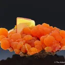 Wulfenite on Mimetite - image 1