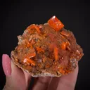 Wulfenite on Mimetite - image 1