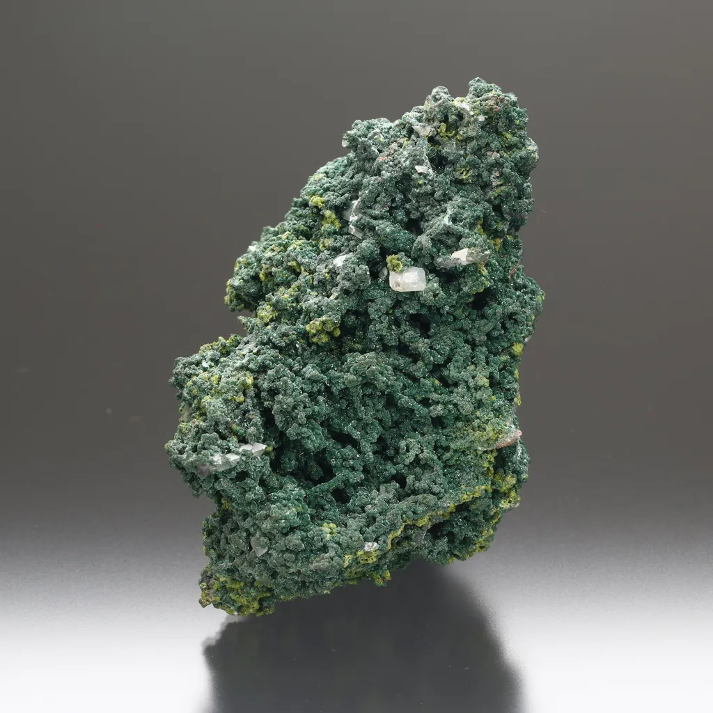 Wulfenite on Mottramite image