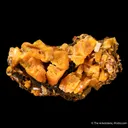 Wulfenite on Mottramite - image 7