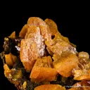Wulfenite on Mottramite - image 4