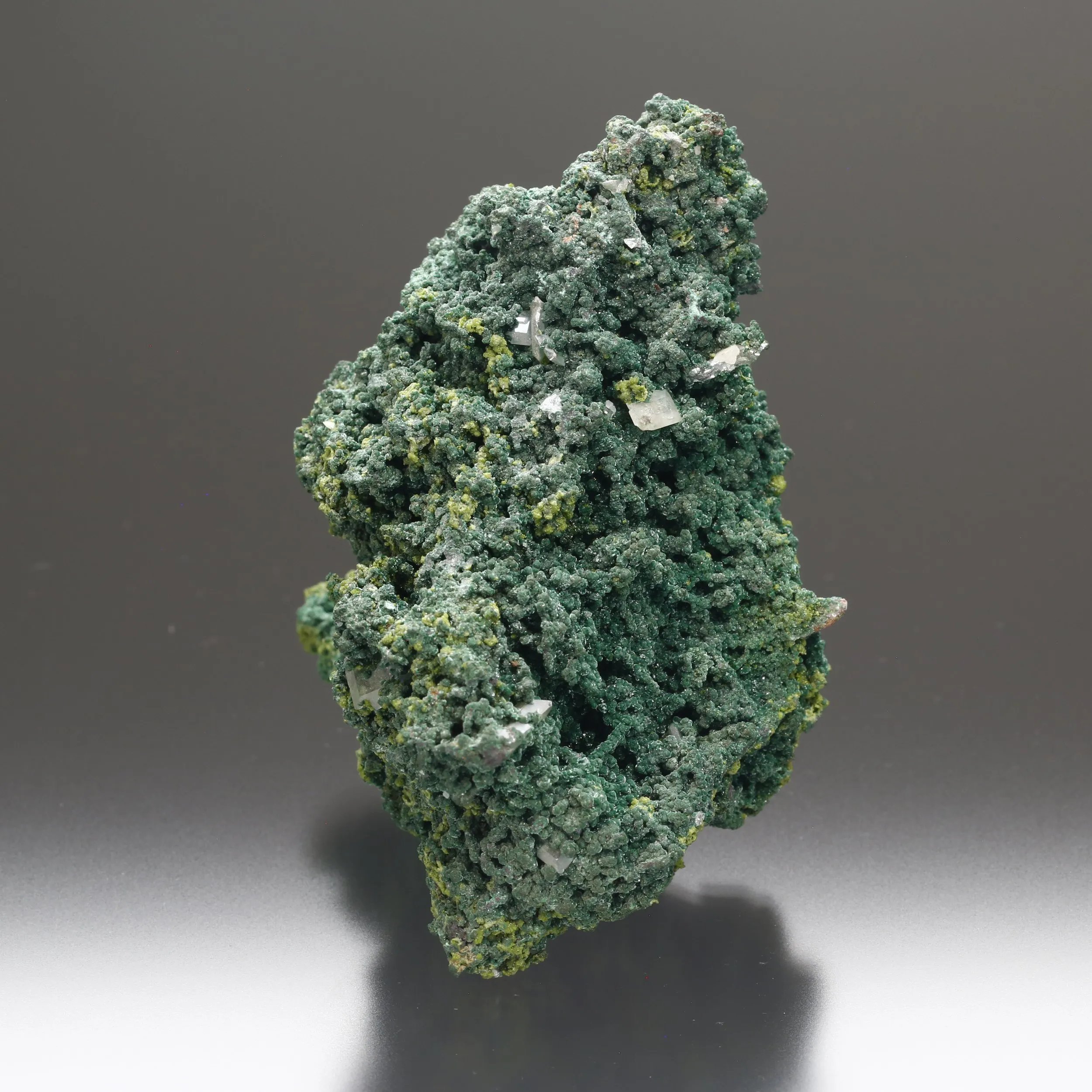 Wulfenite on Mottramite - image 3