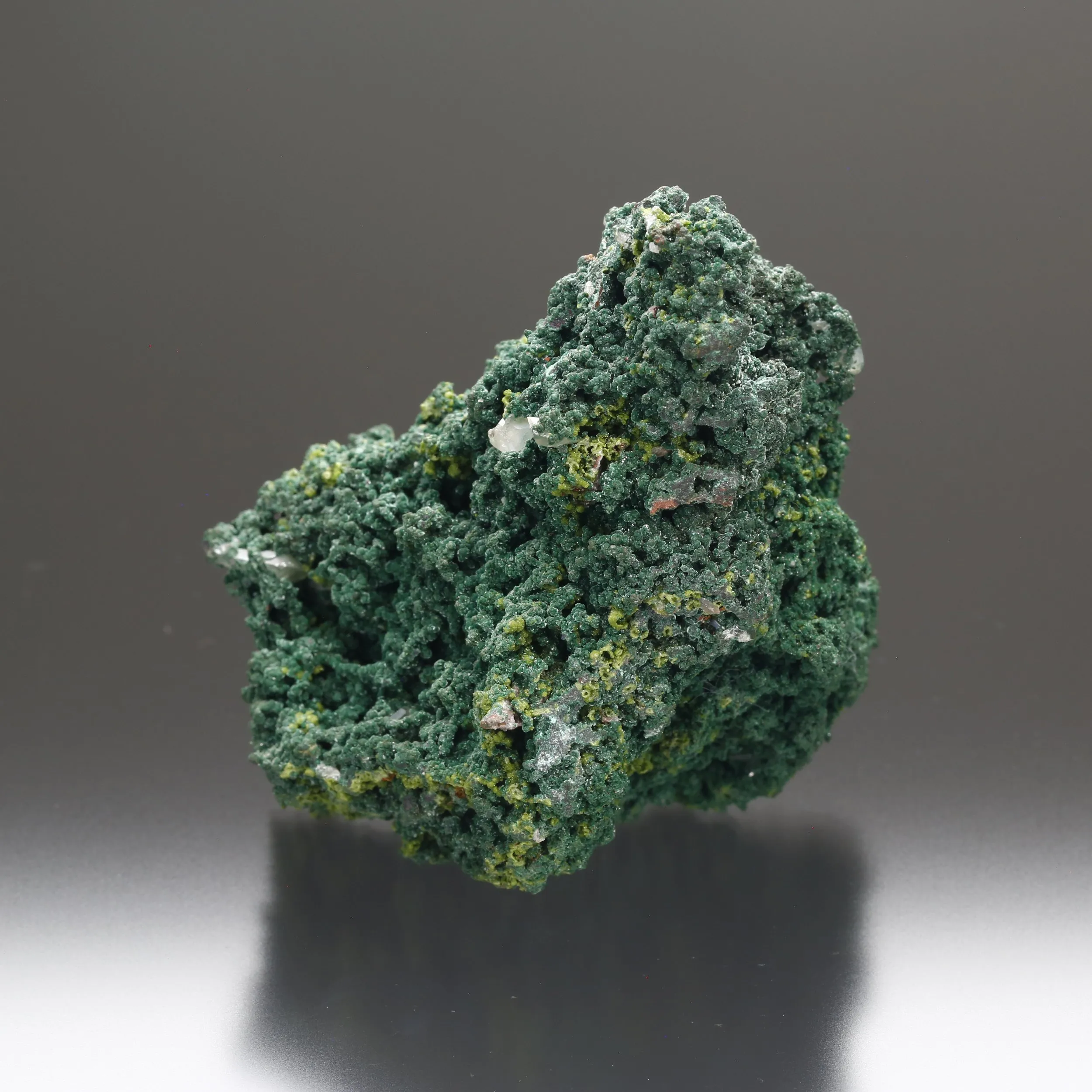 Wulfenite on Mottramite - image 2