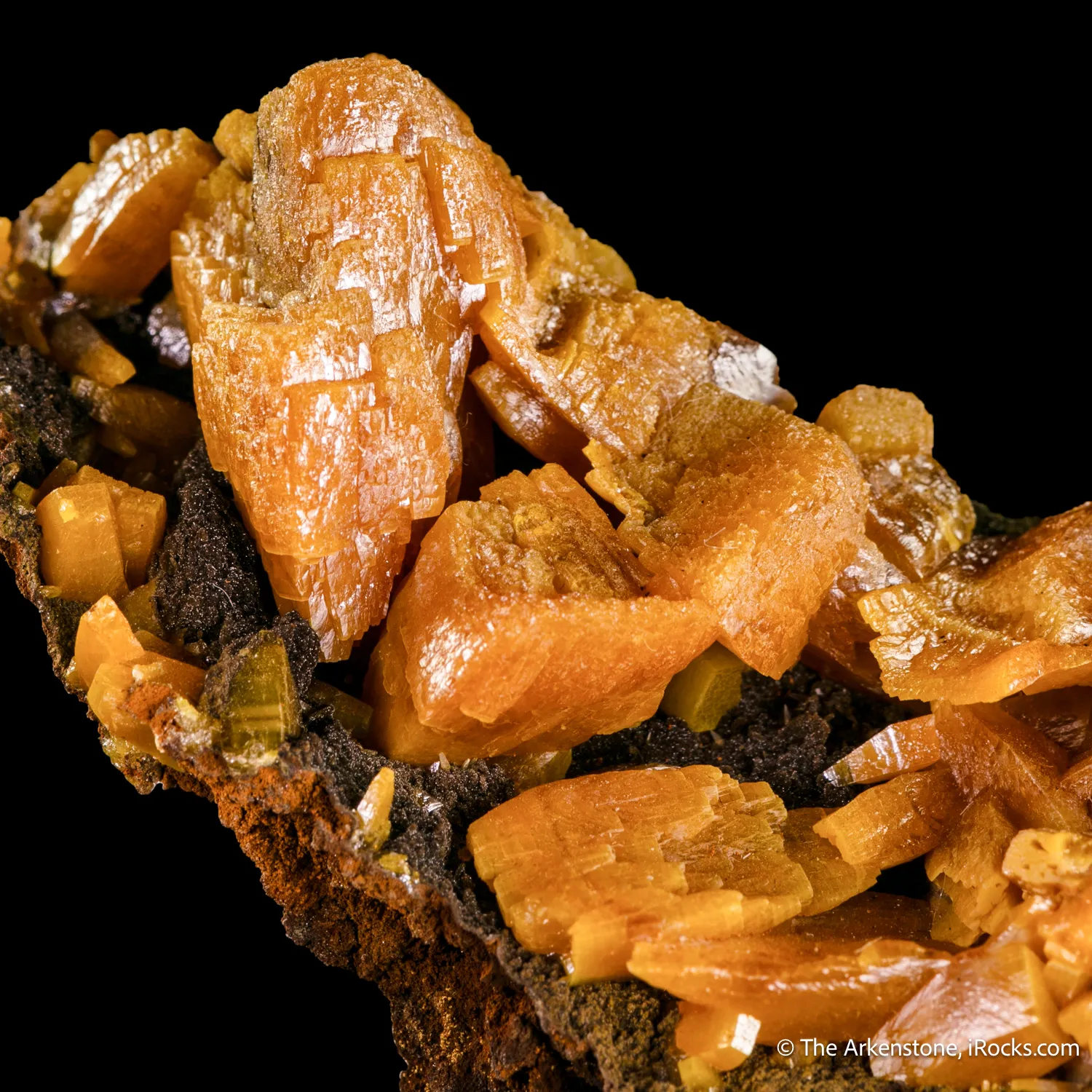 Wulfenite on Mottramite - image 6