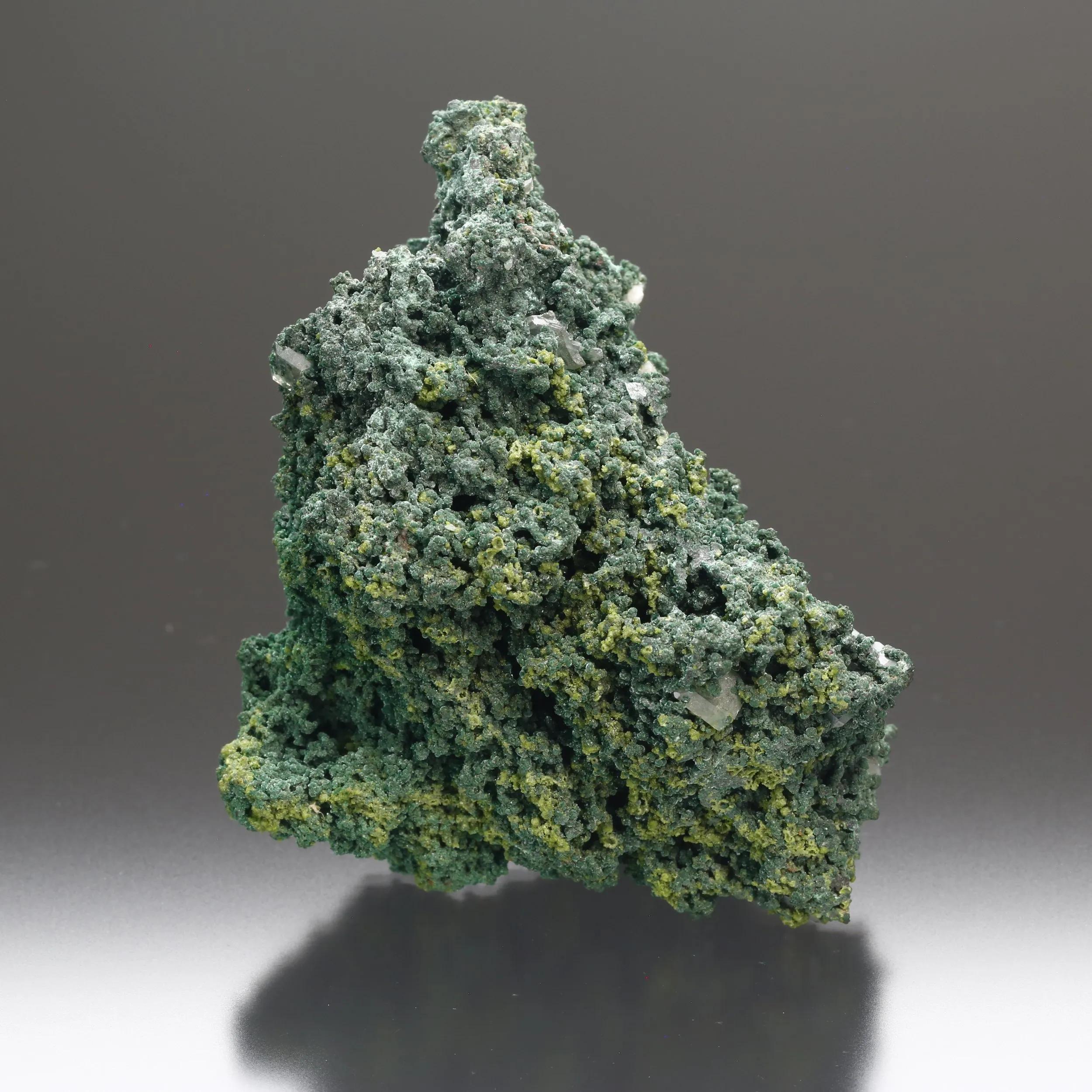 Wulfenite on Mottramite - image 4