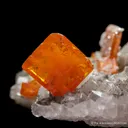 Wulfenite on Quartz - image 6