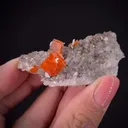 Wulfenite on Quartz - image 2
