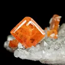 Wulfenite on Quartz - image 5