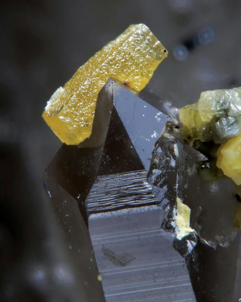 Wulfenite on Quartz image