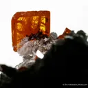 Wulfenite on Quartz - image 4