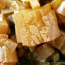 Wulfenite (Pseudocubic) on Mimetite - image 2